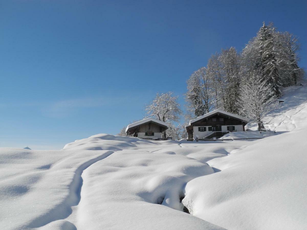 Pure Mountain Base Apartment Erpfendorf Exterior foto